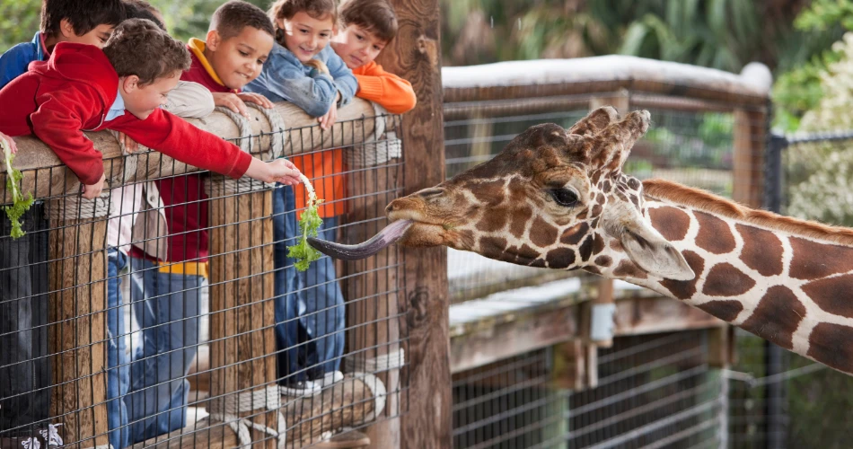 Best Family-Friendly Activities in Palm Springs for All Ages