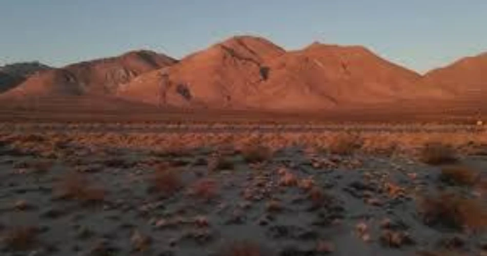 Outdoor Adventures in Palm Springs: Hiking, Biking & Desert Fun