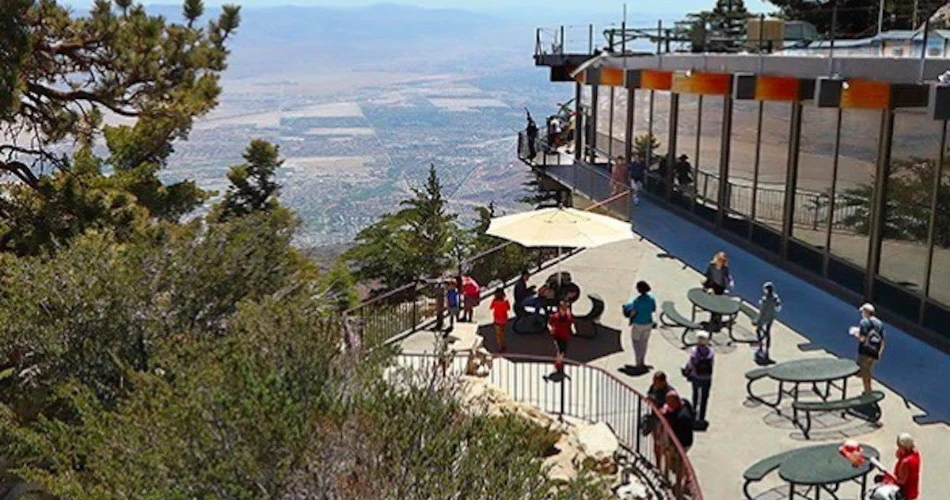 Best Places to Visit in Palm Springs for First-Time Travelers