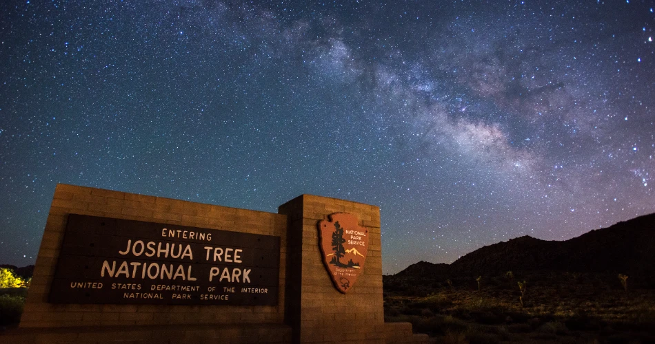 Best Places to Visit in Palm Springs for First-Time Travelers