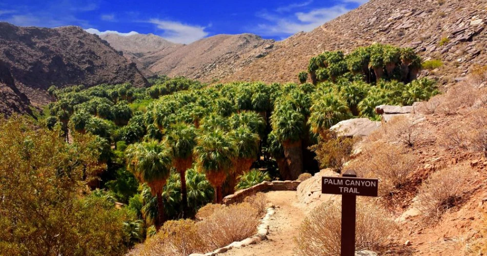 Best Places to Visit in Palm Springs for First-Time Travelers